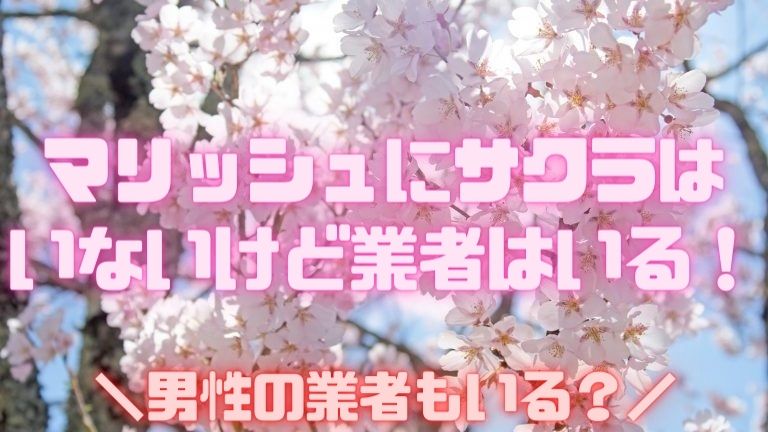 マリッシュにサクラはいないけど業者はいる！男性の業者もいる？